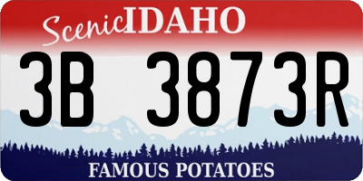 ID license plate 3B3873R