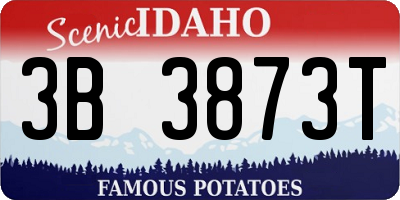 ID license plate 3B3873T