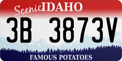ID license plate 3B3873V