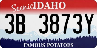 ID license plate 3B3873Y
