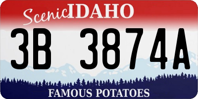 ID license plate 3B3874A