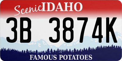 ID license plate 3B3874K