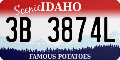ID license plate 3B3874L