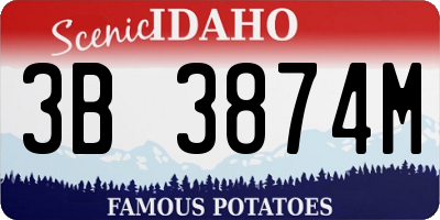 ID license plate 3B3874M