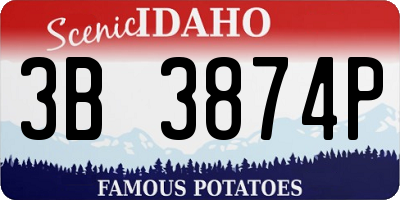 ID license plate 3B3874P