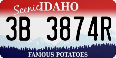 ID license plate 3B3874R