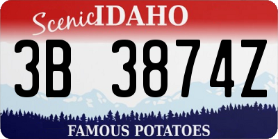 ID license plate 3B3874Z