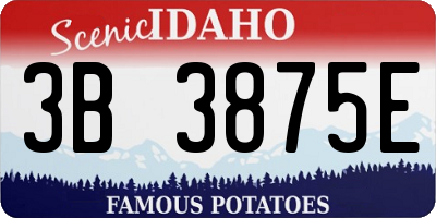 ID license plate 3B3875E