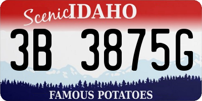 ID license plate 3B3875G