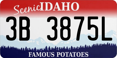 ID license plate 3B3875L
