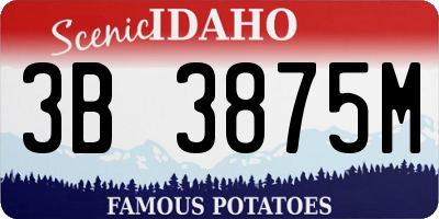 ID license plate 3B3875M