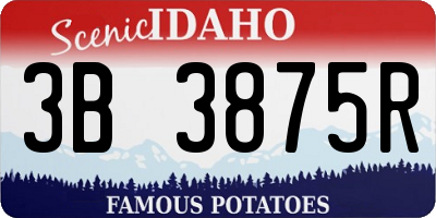ID license plate 3B3875R