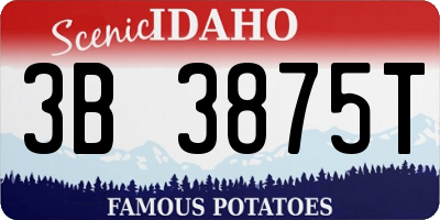 ID license plate 3B3875T
