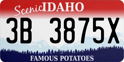 ID license plate 3B3875X
