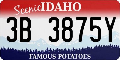 ID license plate 3B3875Y
