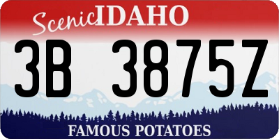 ID license plate 3B3875Z