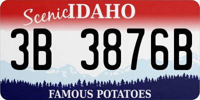 ID license plate 3B3876B