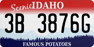 ID license plate 3B3876G