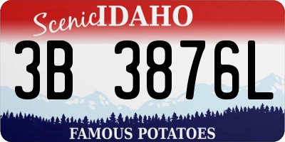 ID license plate 3B3876L