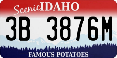 ID license plate 3B3876M