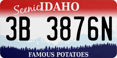 ID license plate 3B3876N