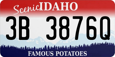 ID license plate 3B3876Q