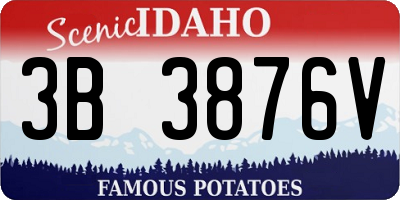 ID license plate 3B3876V