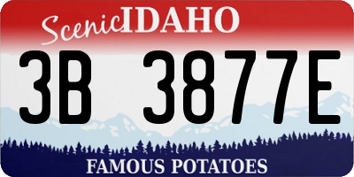 ID license plate 3B3877E