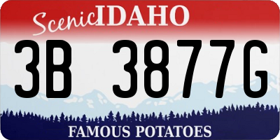 ID license plate 3B3877G