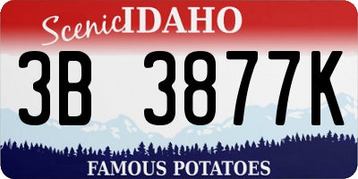 ID license plate 3B3877K
