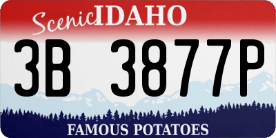 ID license plate 3B3877P
