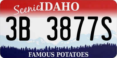 ID license plate 3B3877S
