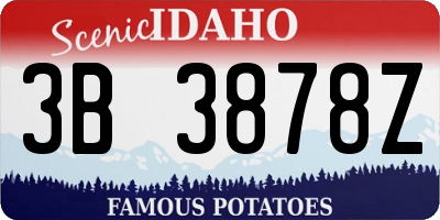 ID license plate 3B3878Z