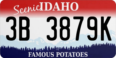 ID license plate 3B3879K