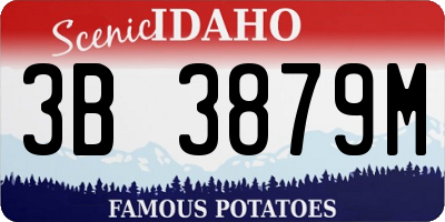 ID license plate 3B3879M