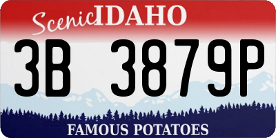 ID license plate 3B3879P
