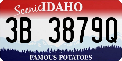 ID license plate 3B3879Q
