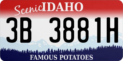ID license plate 3B3881H