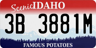 ID license plate 3B3881M