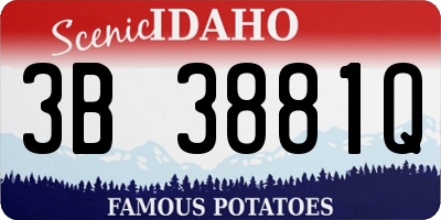 ID license plate 3B3881Q