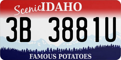 ID license plate 3B3881U