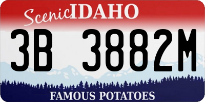 ID license plate 3B3882M