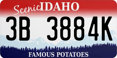 ID license plate 3B3884K