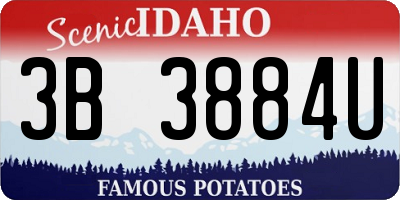 ID license plate 3B3884U