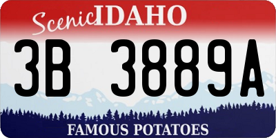 ID license plate 3B3889A