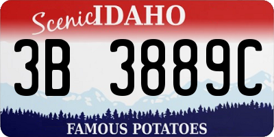ID license plate 3B3889C