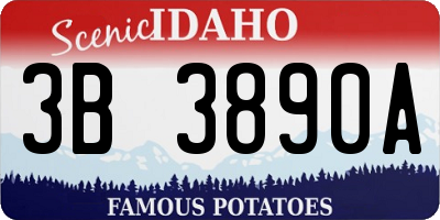 ID license plate 3B3890A