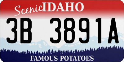 ID license plate 3B3891A