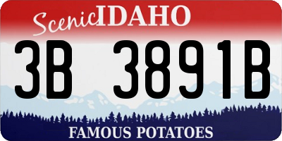 ID license plate 3B3891B