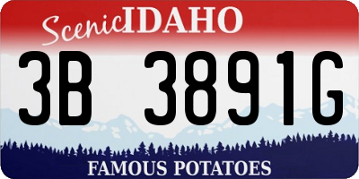 ID license plate 3B3891G